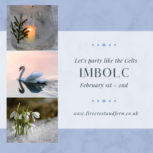 Imbolc - Let's Party Like the Celts